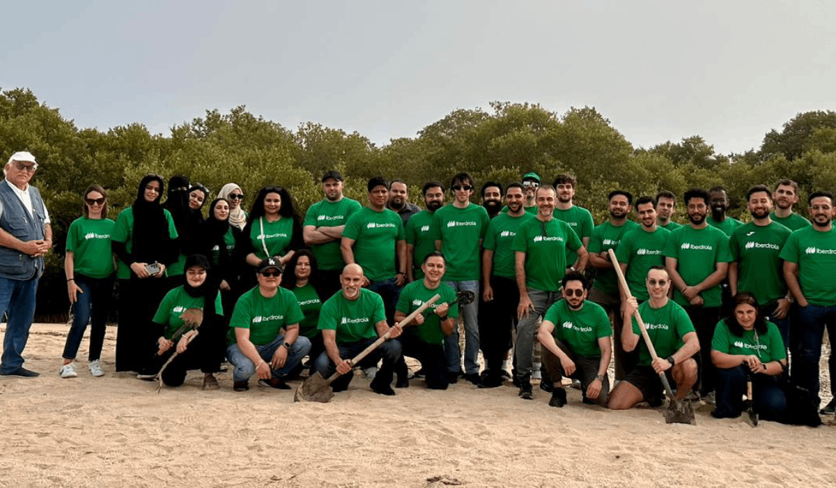 Employees at Iberdrola Innovation Middle East planted more than 50 mangrove saplings